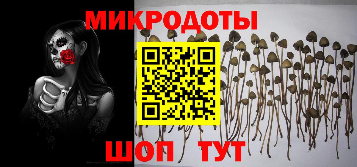 Галлюциногенные грибы Psilocybe Тулун
