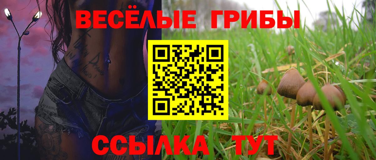 Псилоцибиновые грибы GOLDEN TEACHER  где найти   Тулун  Вход с VPN 